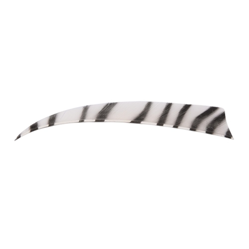 Bearpaw Feather Shield Zebra RW 5 Inch