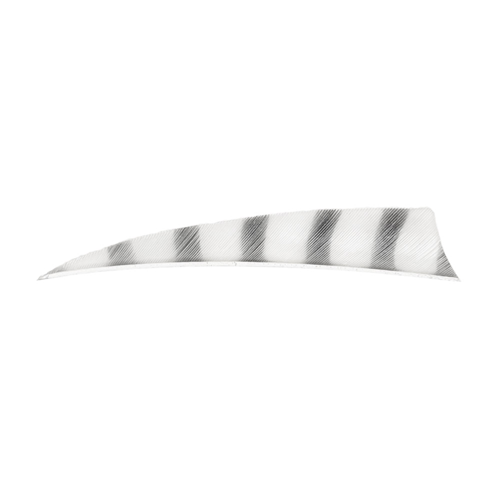 Color: White/Black Color: White/Black