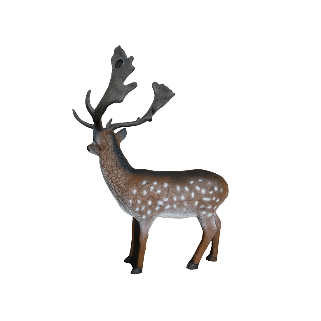 hert, Zoogdier, Wilde dieren, Antilope, Gewei