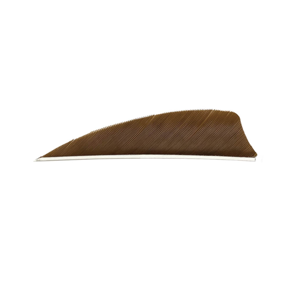 Color: Brown Color: Brown