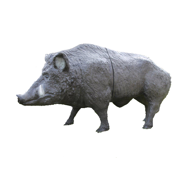 Franzbogen 3D Target Canadian Wild Boar