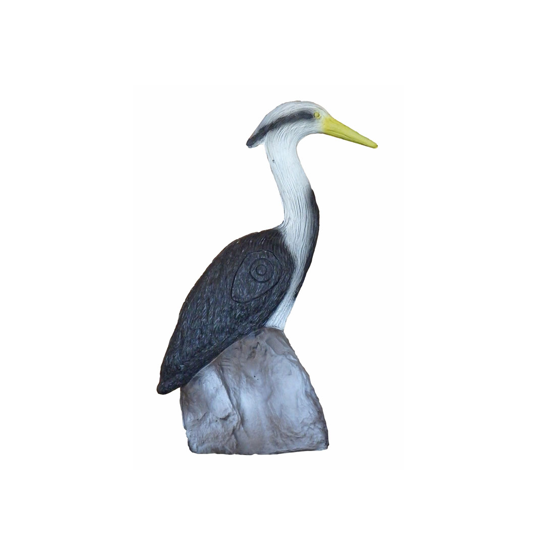 Vogel, Watervogels, Snavel, Aalscholver, Kraanvogel