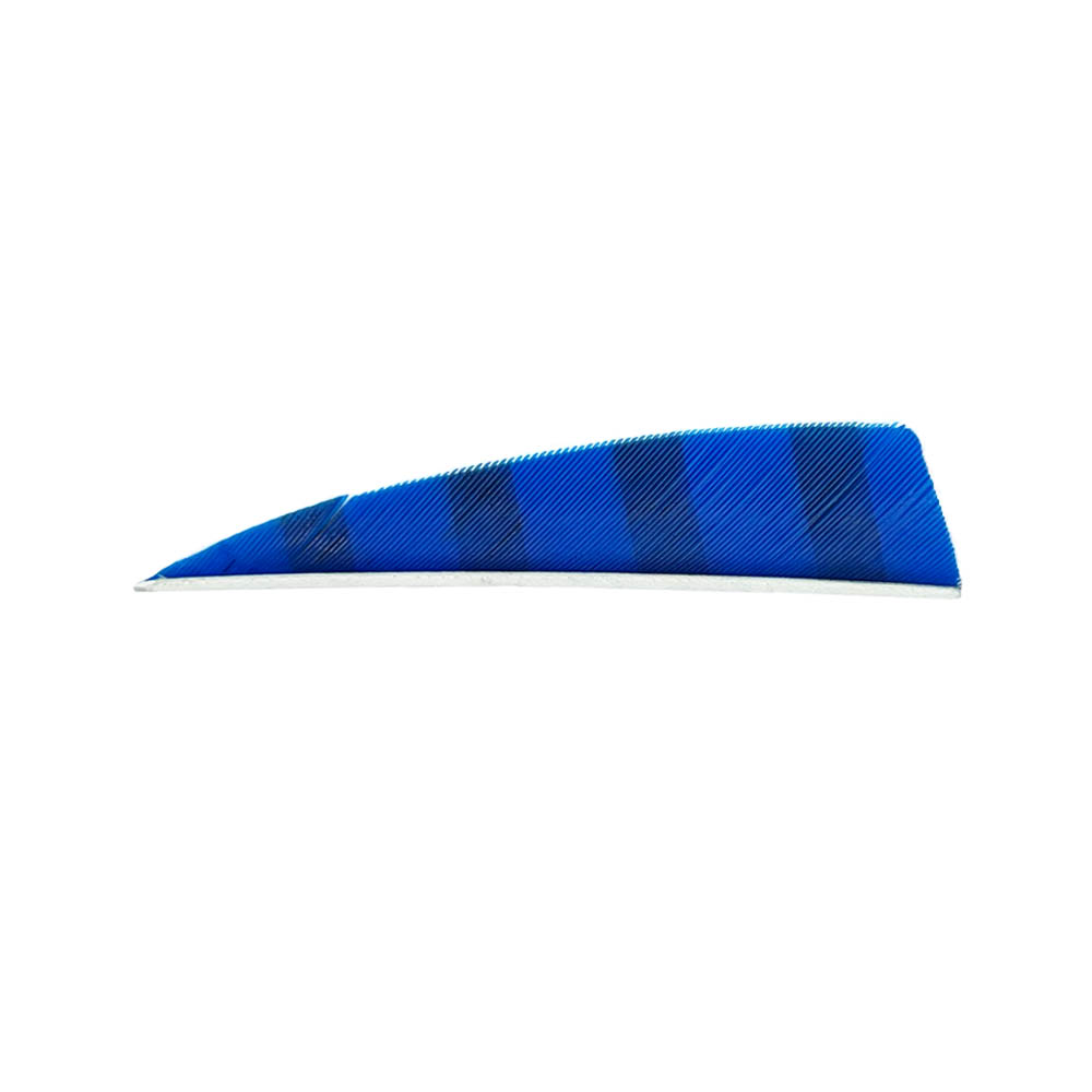 Color: Blue/Black Color: Blue/Black
