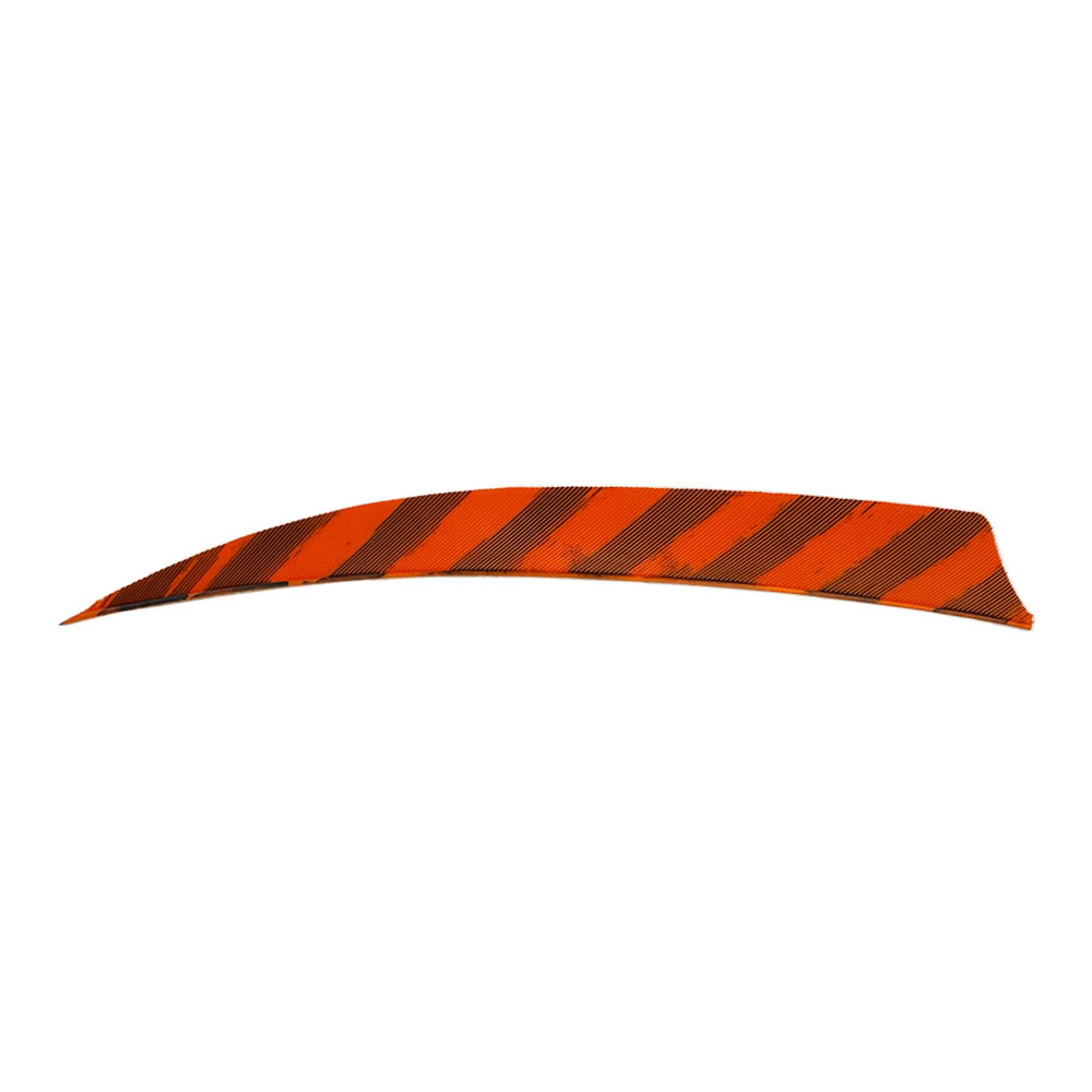 Color: Barred Orange Color: Barred Orange
