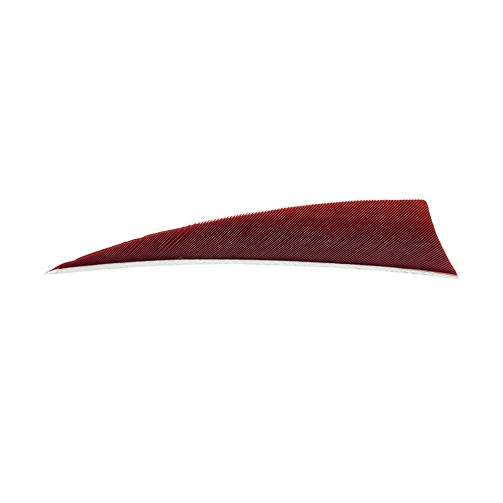 Color: Wine Red Color: Wine Red