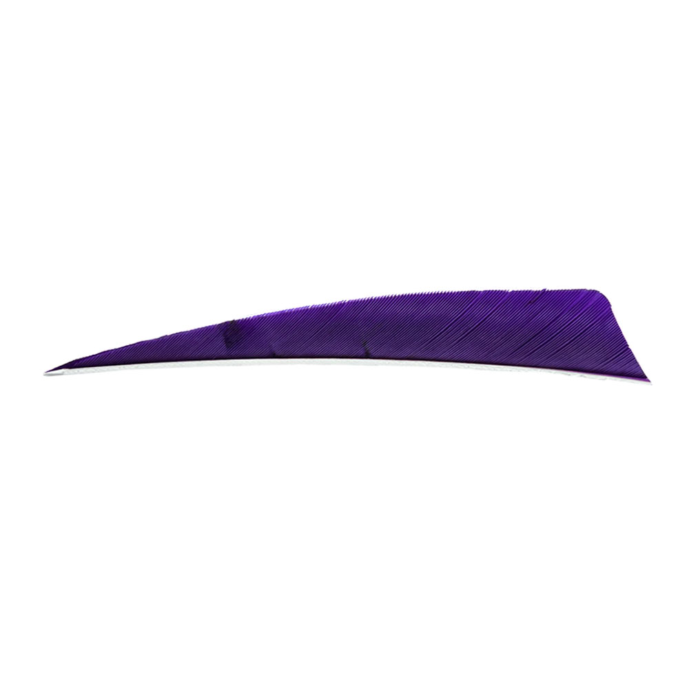 Color: Purple Color: Purple