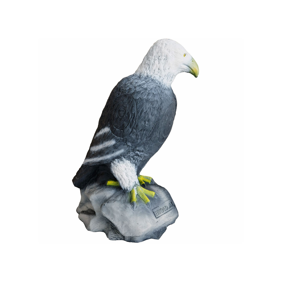 Dier, Snavel, Vogel