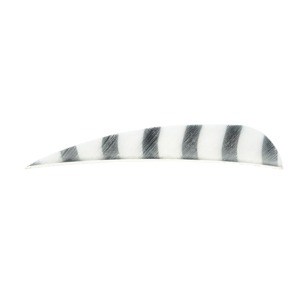 Color: White/Black Color: White/Black