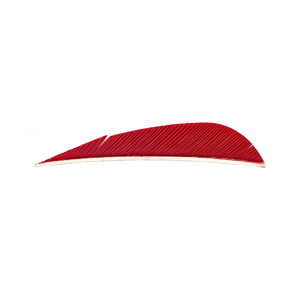 Color: Red Color: Red