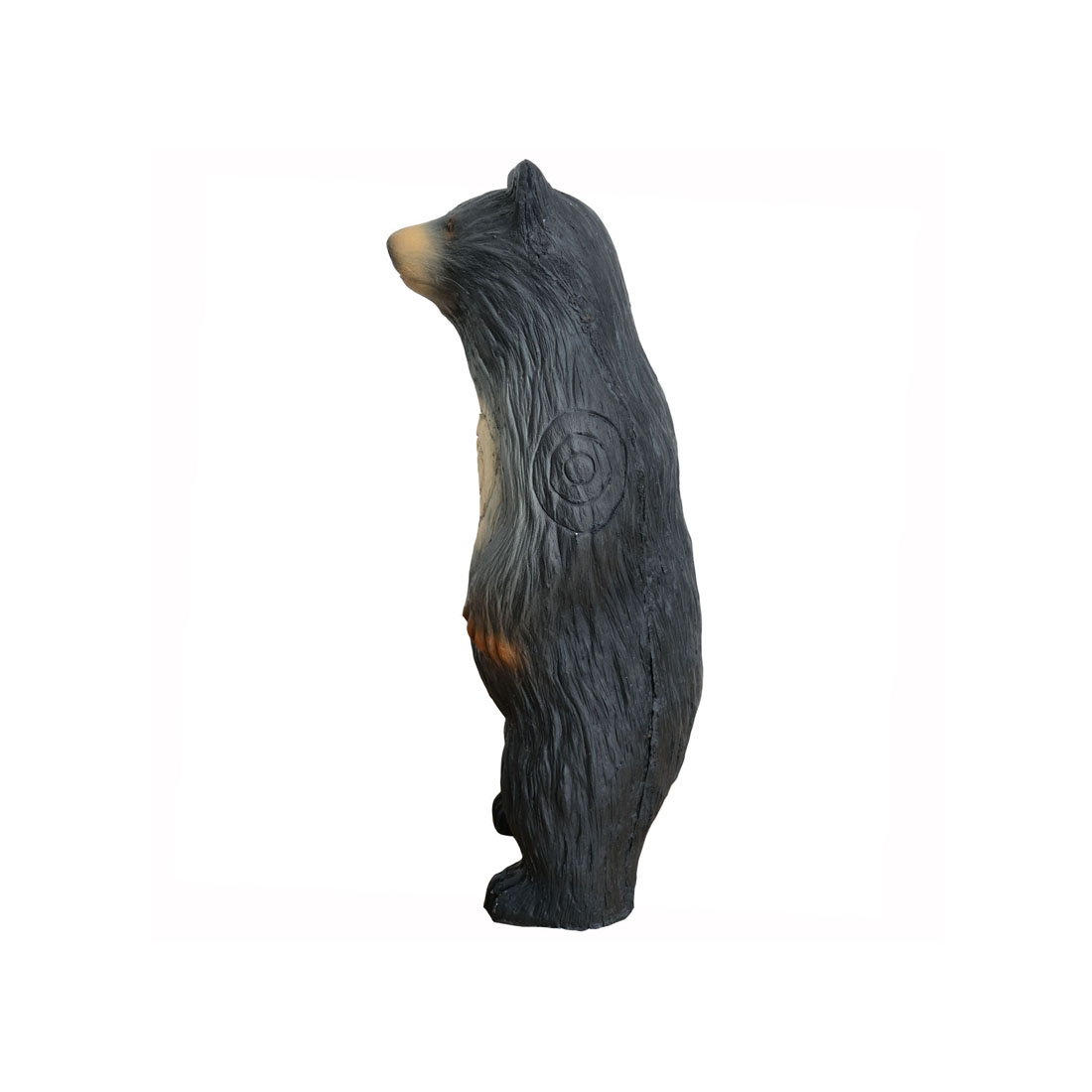 Dier, Beer, Zoogdier, Wilde dieren, Zwarte beer