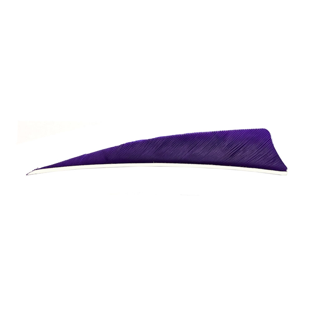 Color: Purple Color: Purple