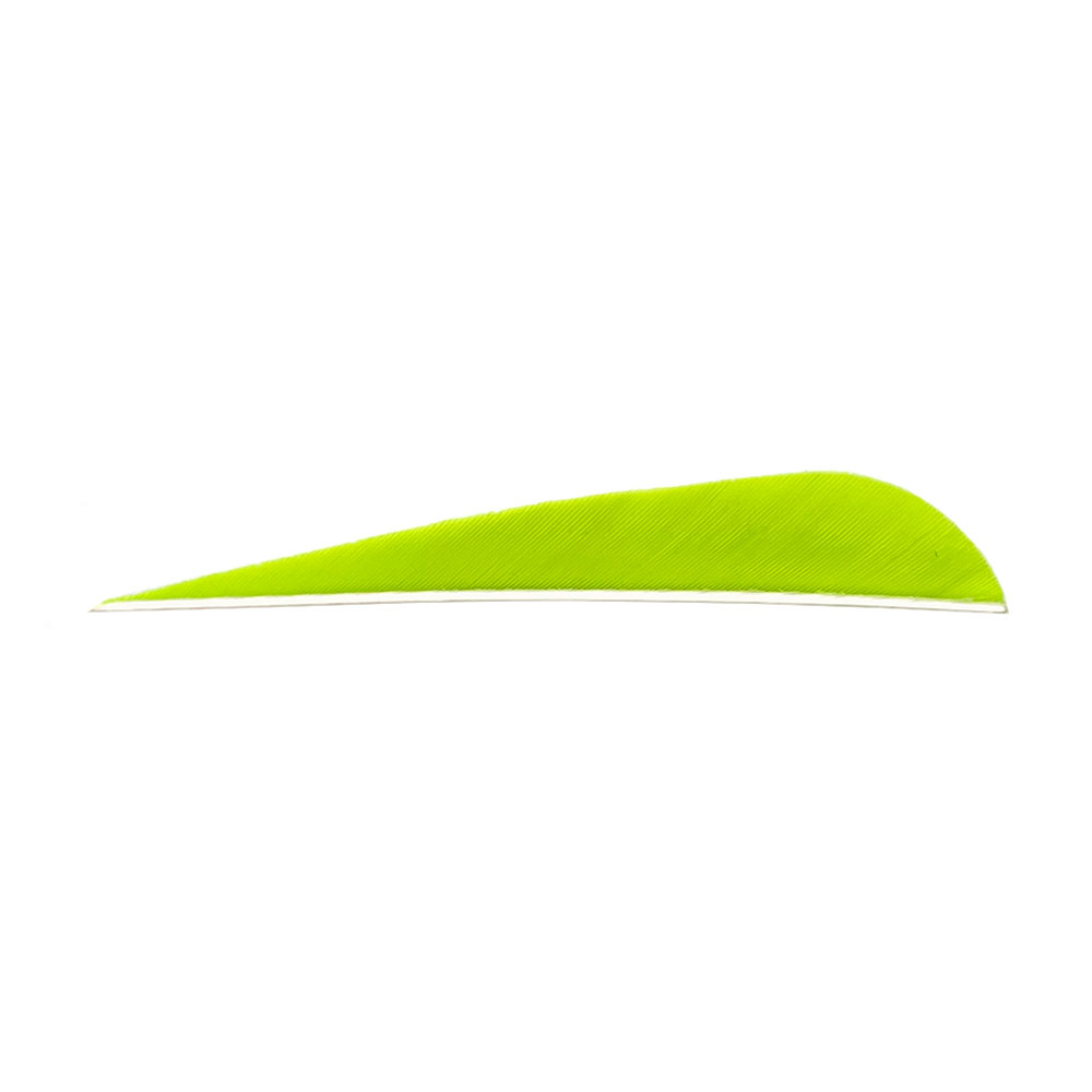 Color: Lemon Lime Color: Lemon Lime