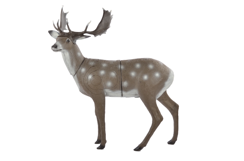 Franzbogen 3D Target Fallow Deer