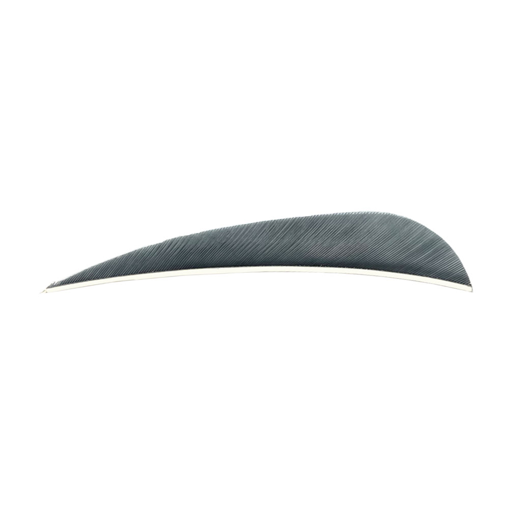 Color: Grey Color: Grey