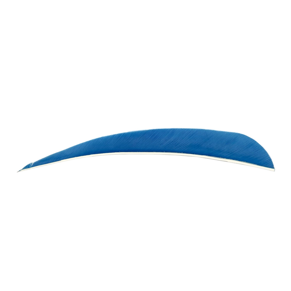 Color: Sky Blue Color: Sky Blue