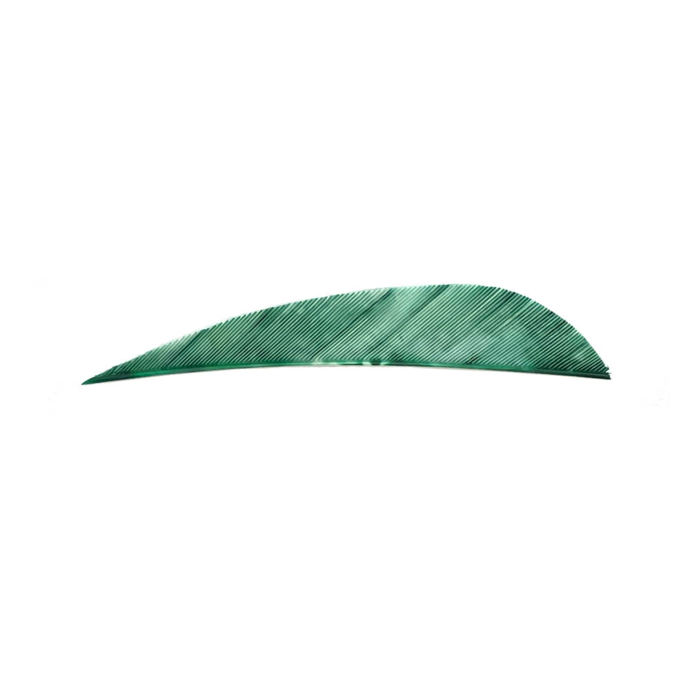 Color: Tre Green Color: Tre Green