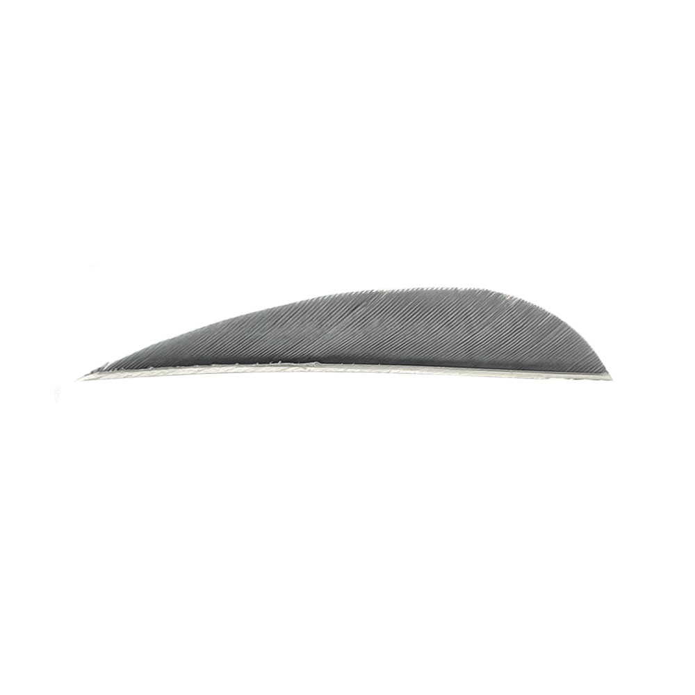 Color: Grey Color: Grey
