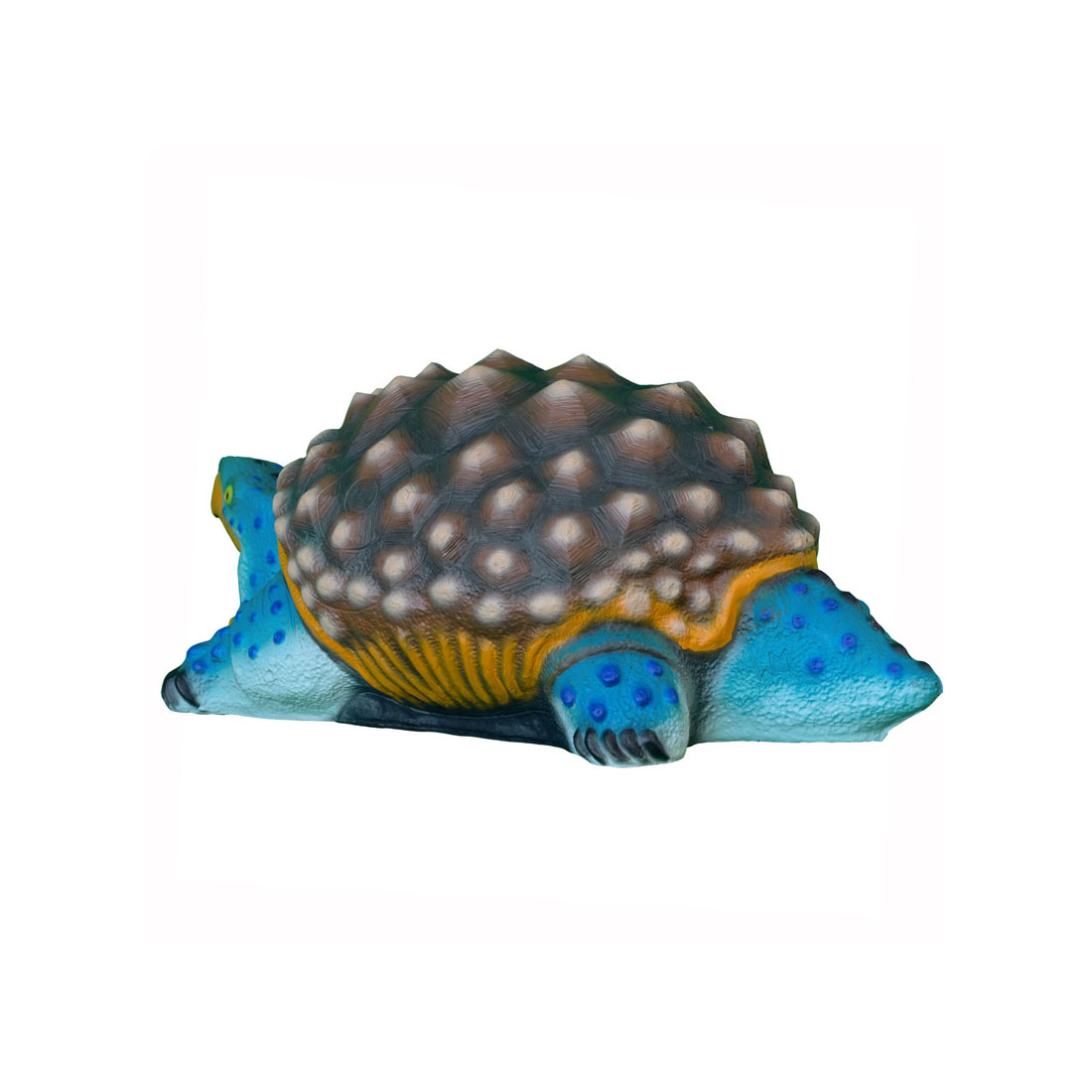 Dier, Zeeleven, Schildpad, Zeeschelp