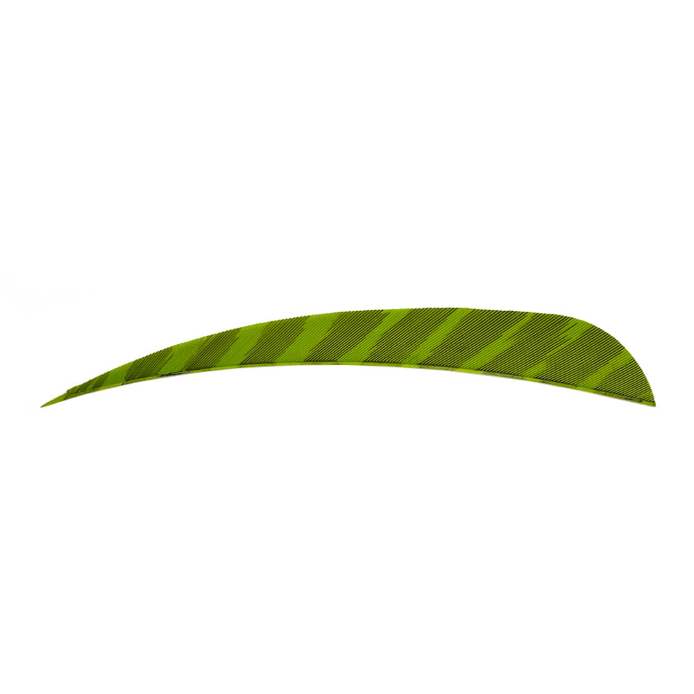 Color: Barred Chartreuse Color: Barred Chartreuse