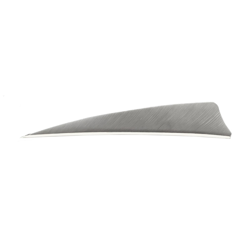 Color: Grey Color: Grey