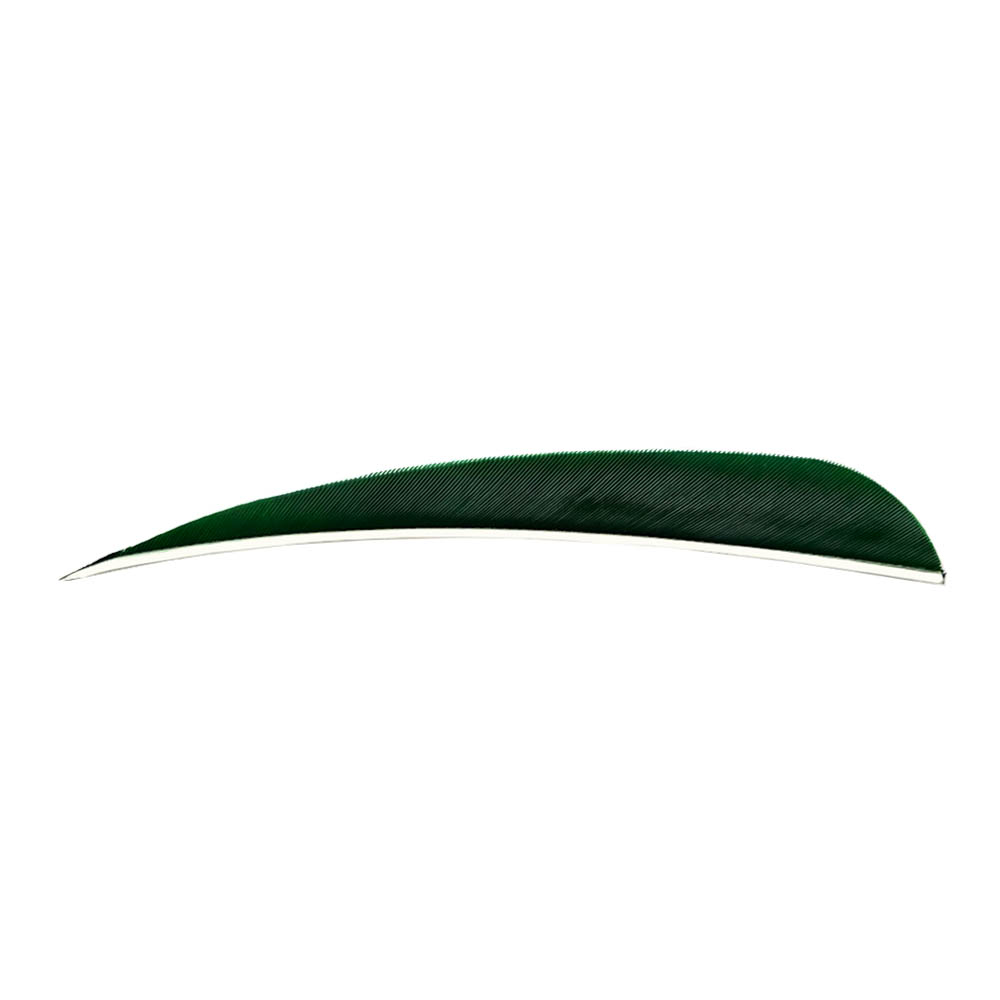 Color: Green Color: Green