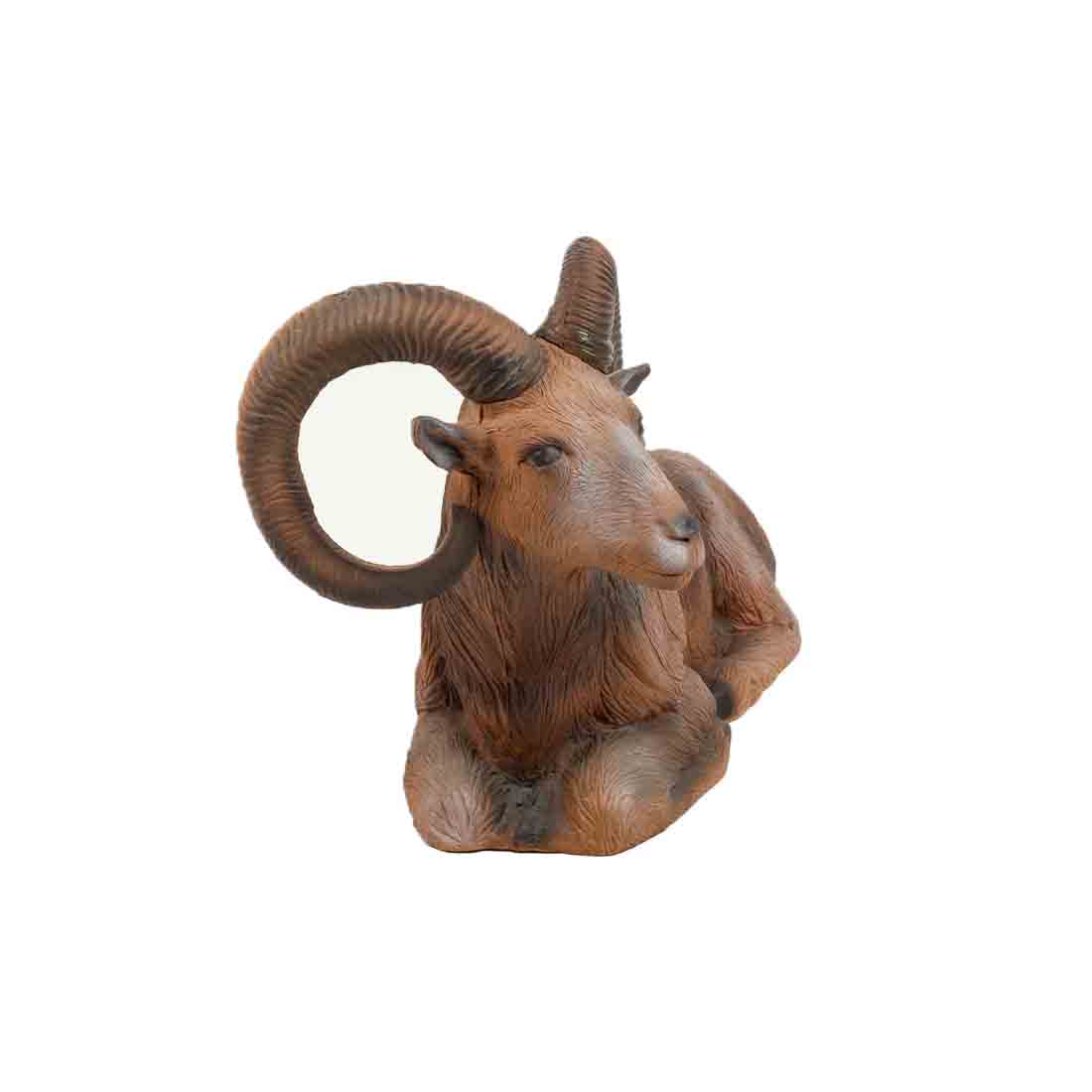 Dier, Vee, Zoogdier, Schapen