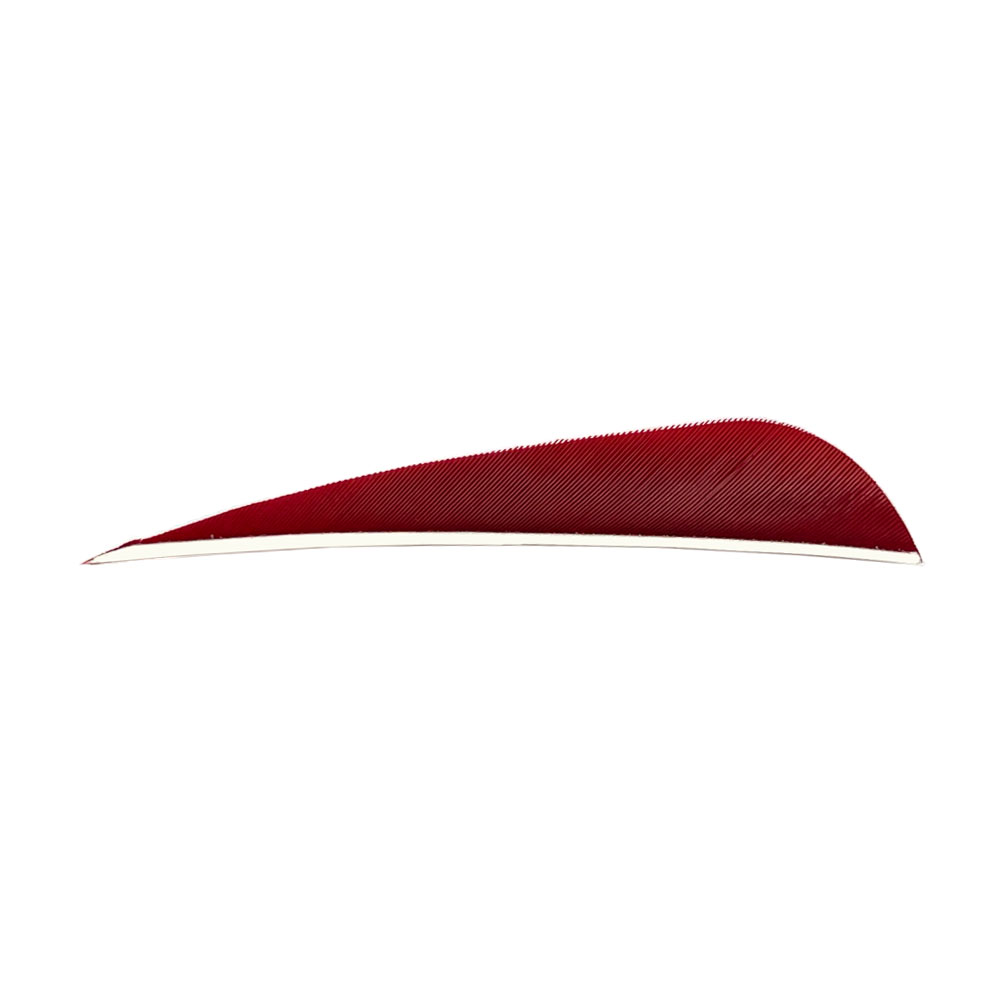 Color: Red Color: Red