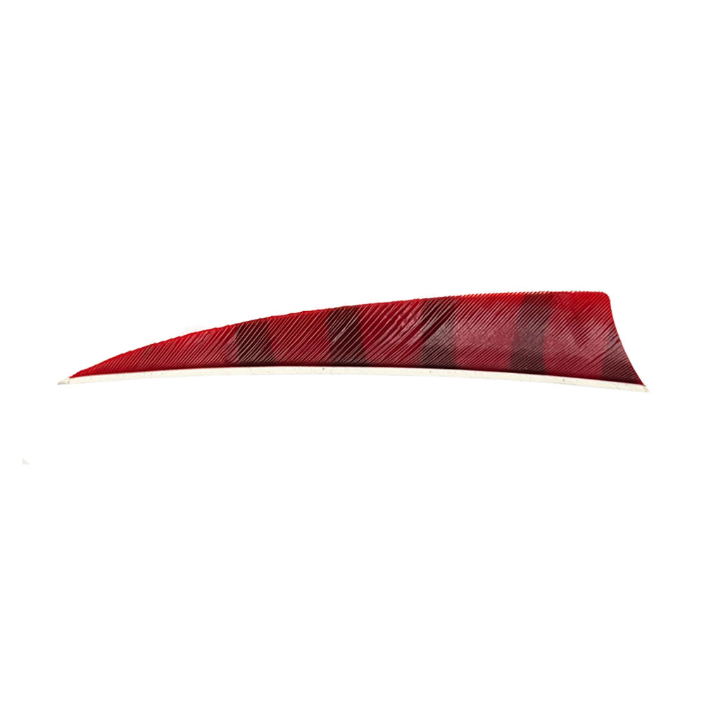 Color: Red/Black Color: Red/Black