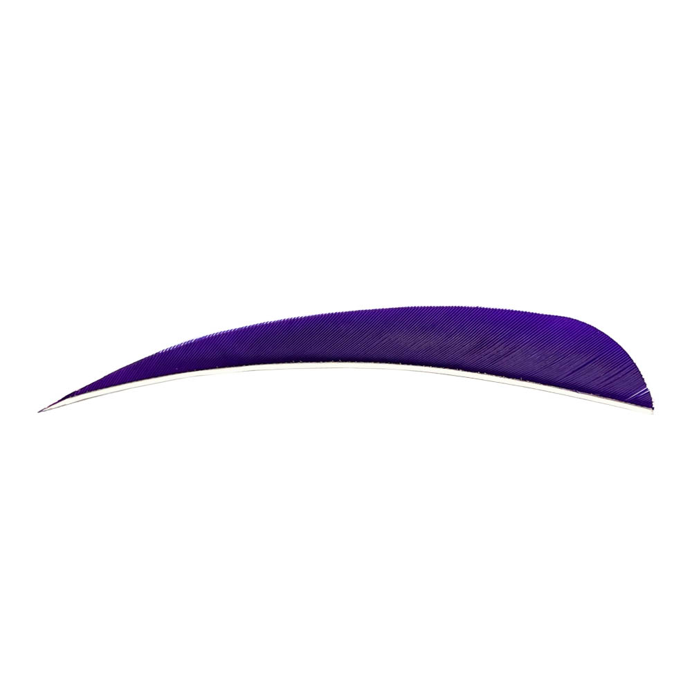 Color: Purple Color: Purple