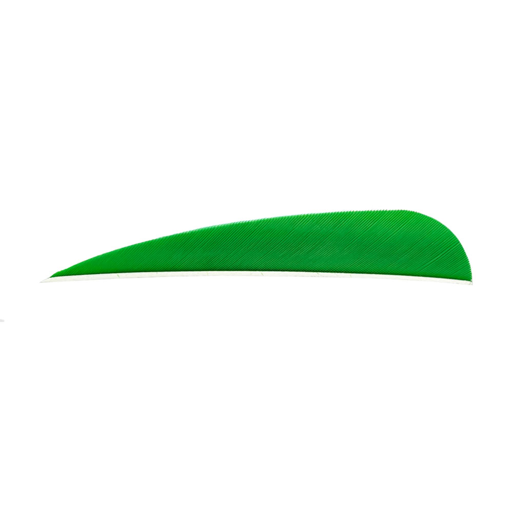 Color: Green Color: Green