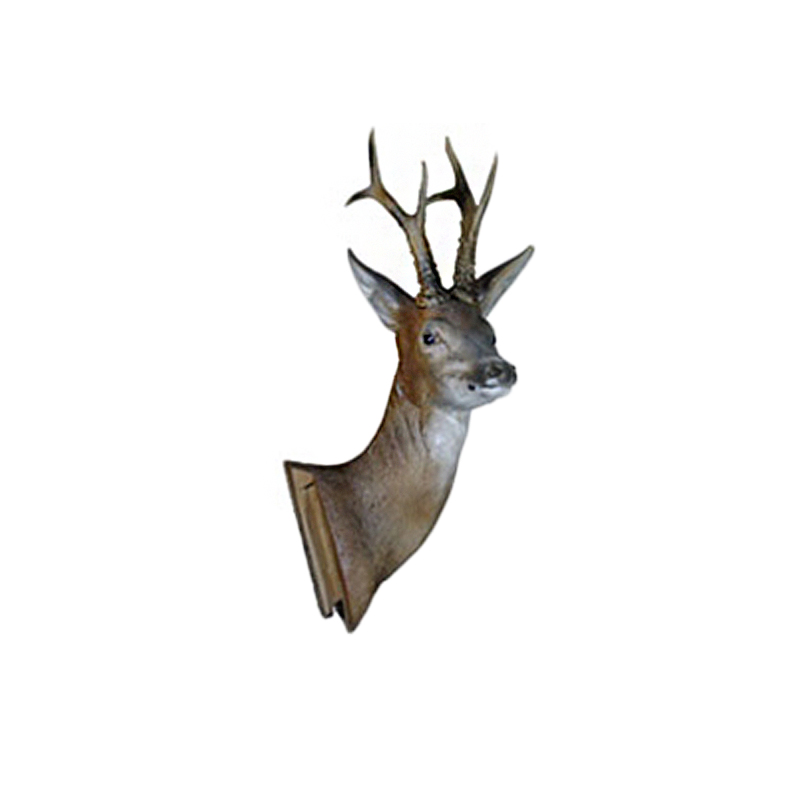Natur Foam 3D Target Roedeer Complete Set