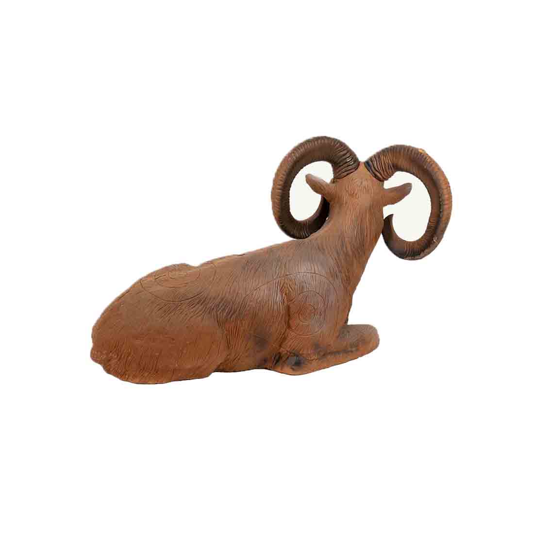 Dier, Vee, Zoogdier, Schapen