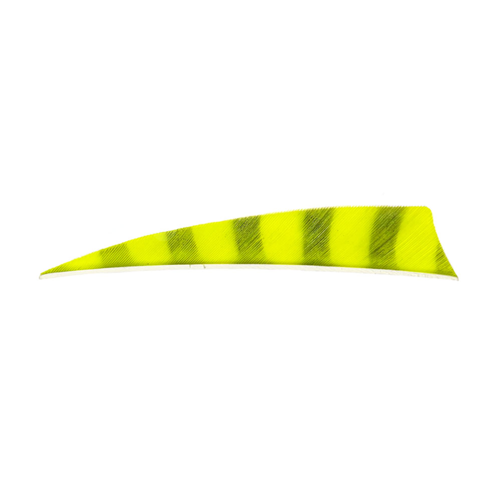 Color: Fluor Yellow/Black Color: Fluor Yellow/Black