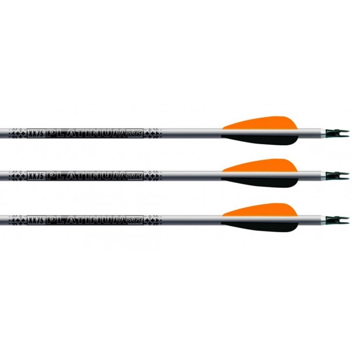 Easton XX75 Platinum Plus Custom Arrow