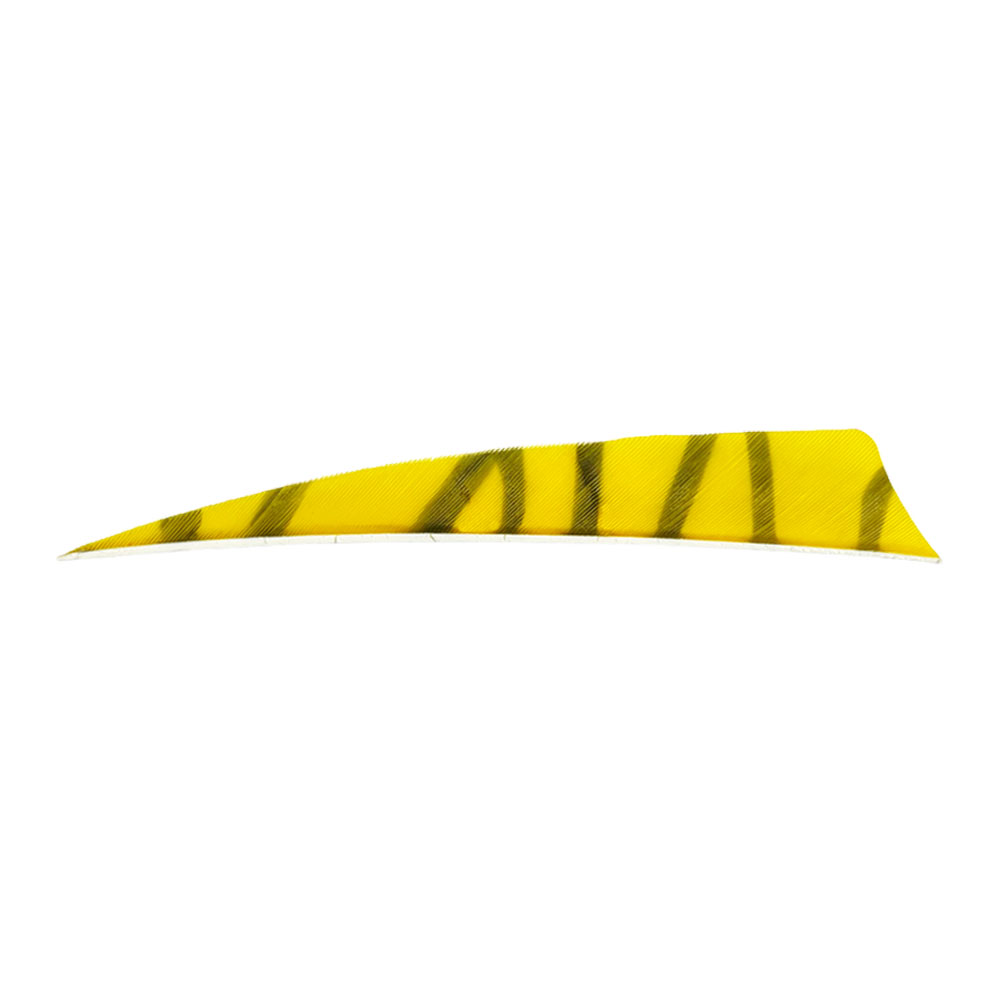 Color: Yellow/Black Color: Yellow/Black