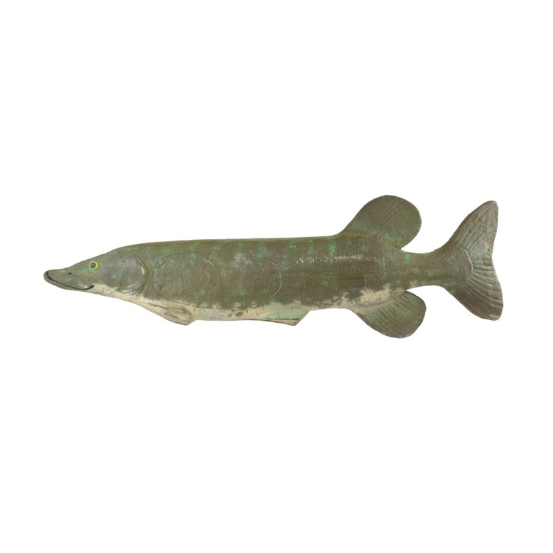 Natur Foam 3D Target Pike