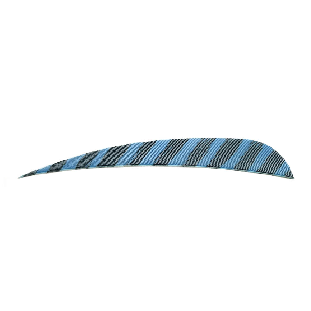 Color: Barred Blue Color: Barred Blue
