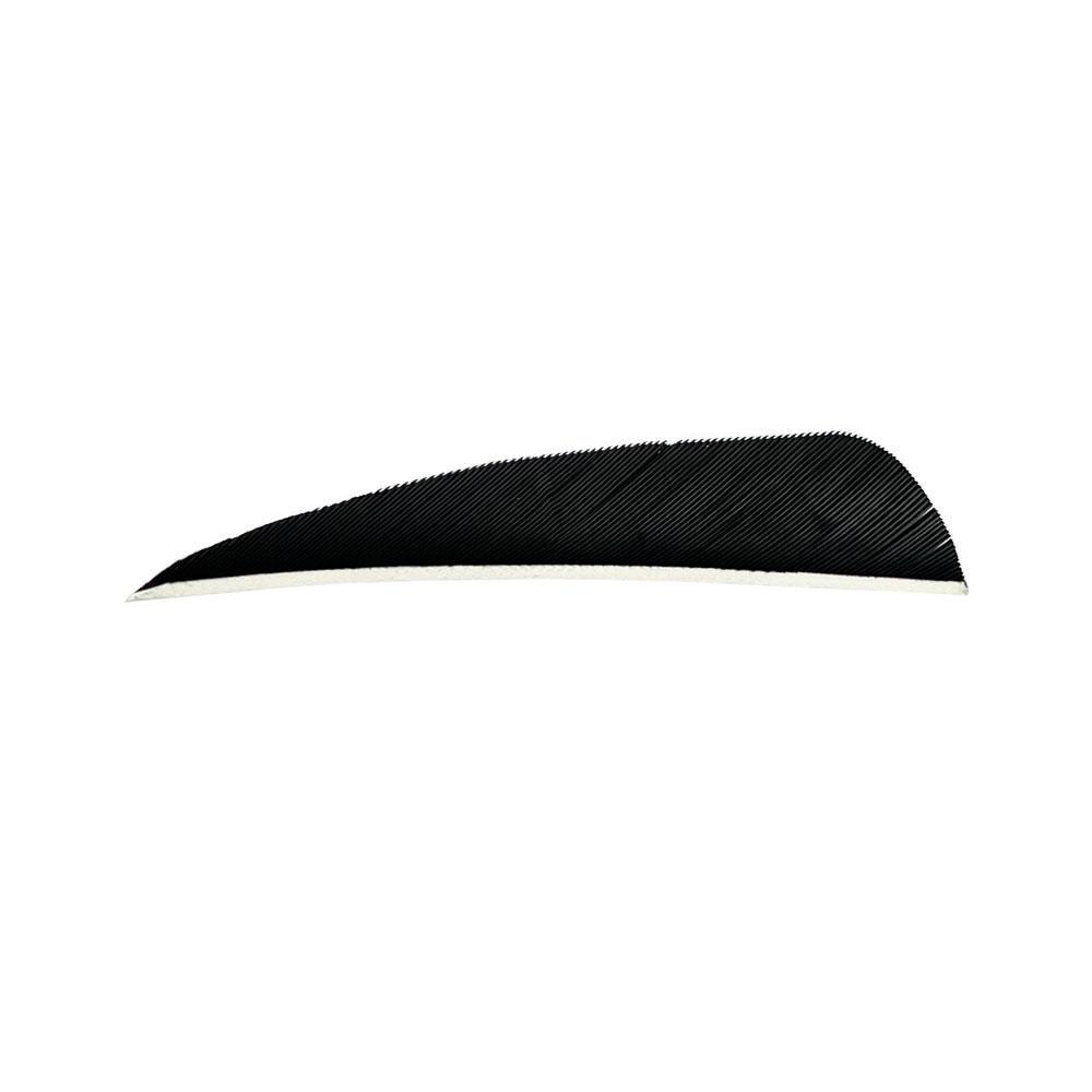Color: Black Color: Black