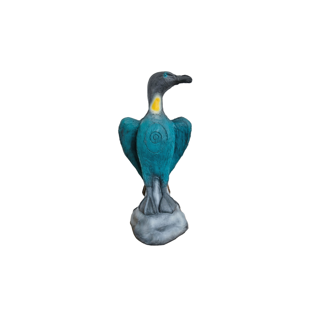Dier, Vogel, Aalscholver, Watervogels