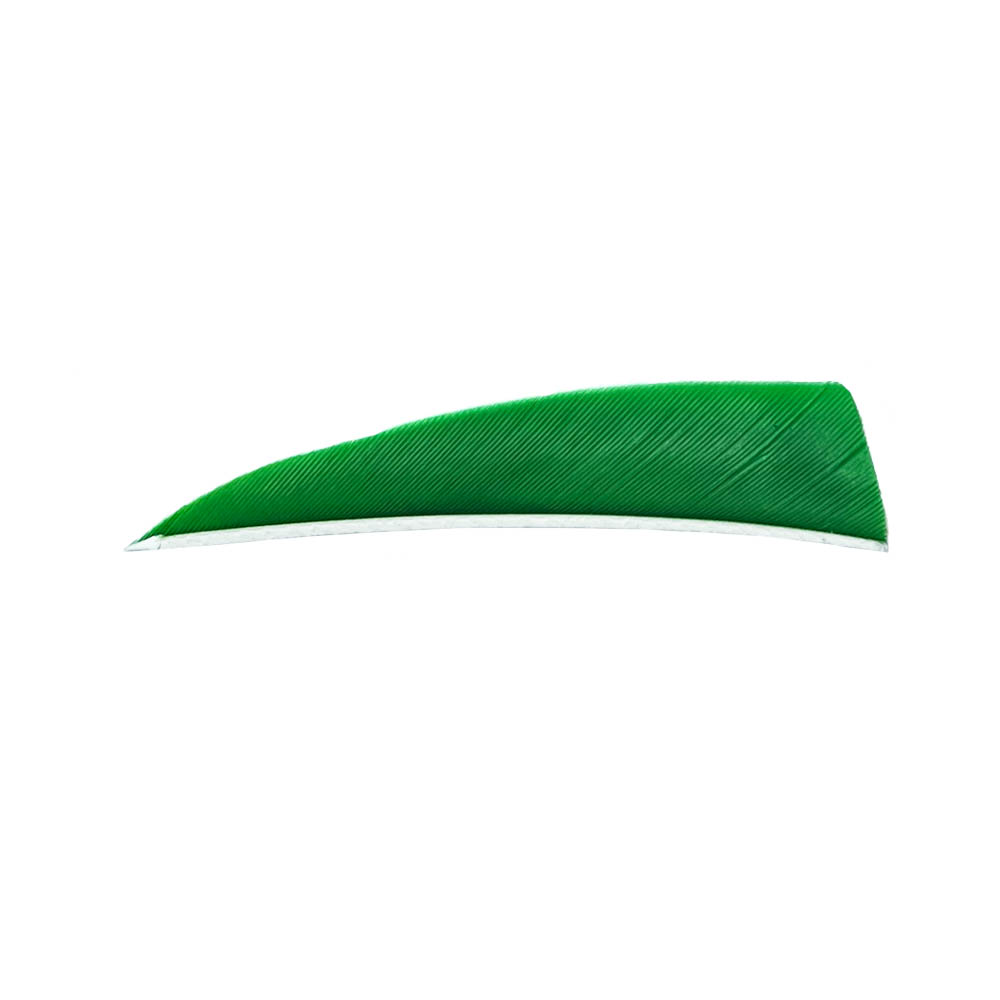 Color: Green Color: Green