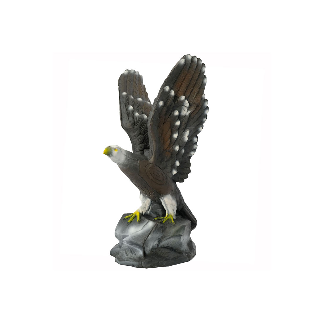 Dier, Vogel, Vliegende vogel, Accipiter, Havik