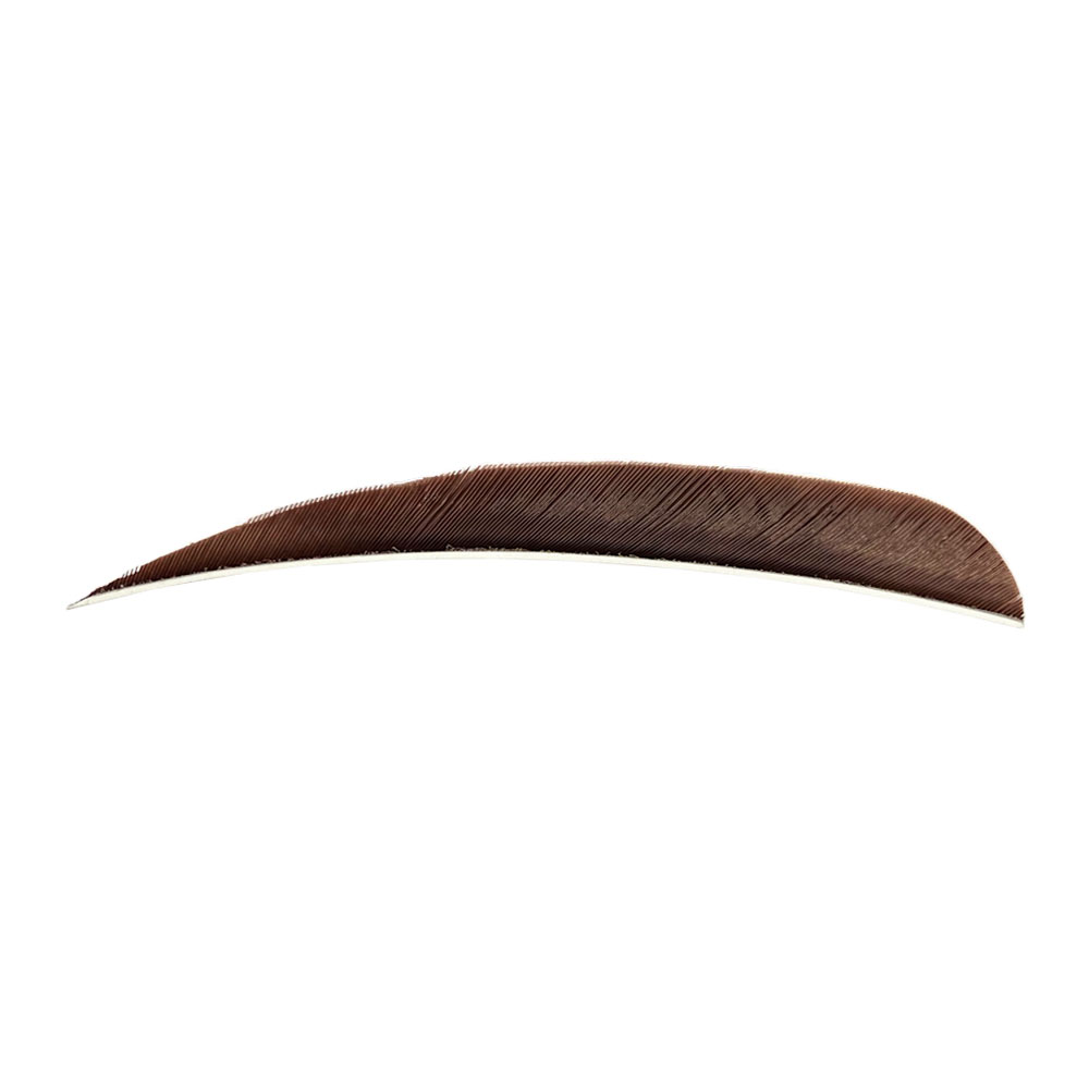 Color: Brown Color: Brown