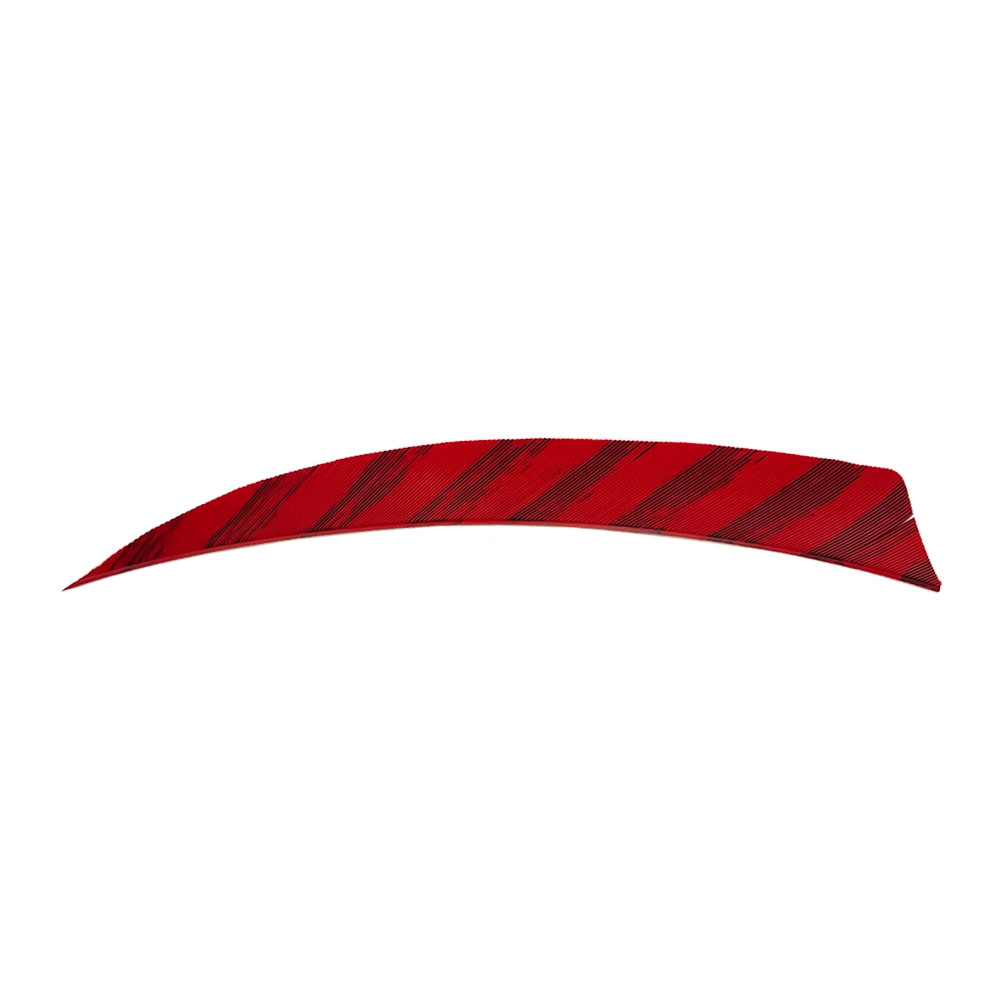Color: Barred Red Color: Barred Red
