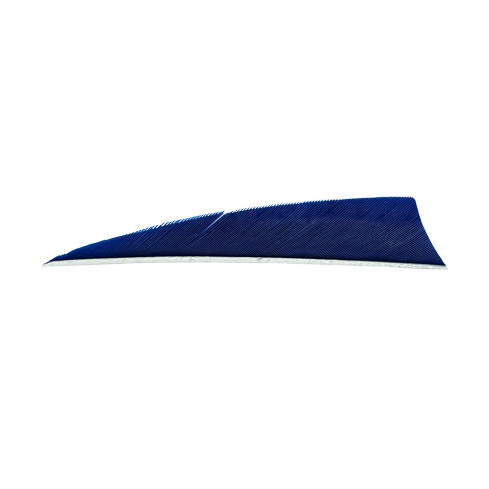Color: Dark Blue Color: Dark Blue