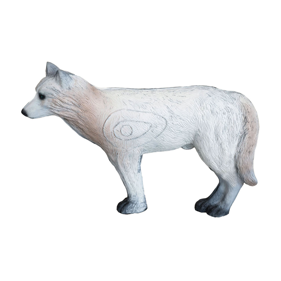 Hond, Zoogdier, Huisdier, Vos, Wilde dieren