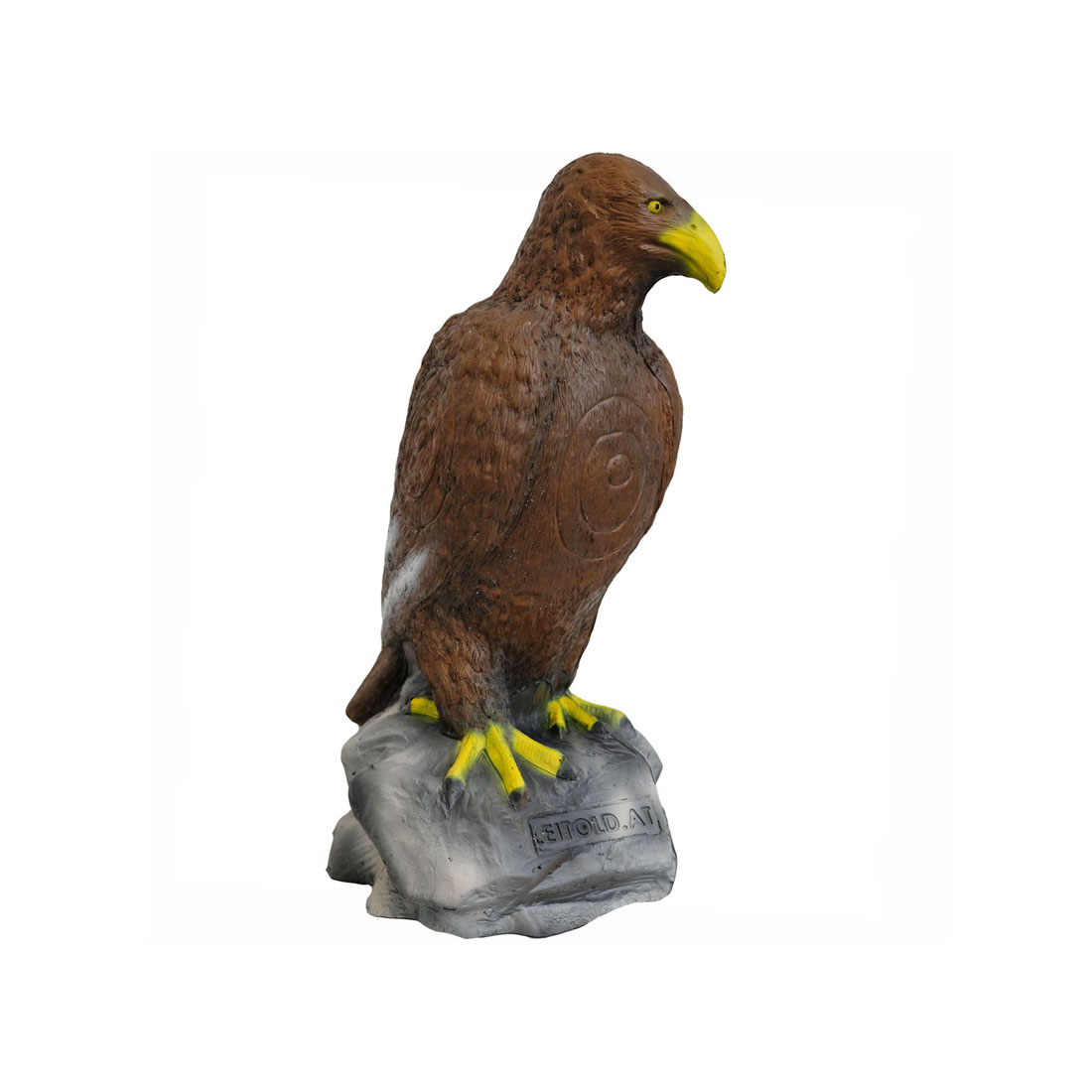 Dier, Snavel, Vogel, Havik, Buizerd