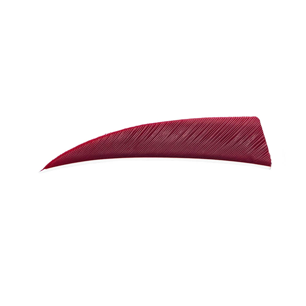 Color: Red Color: Red