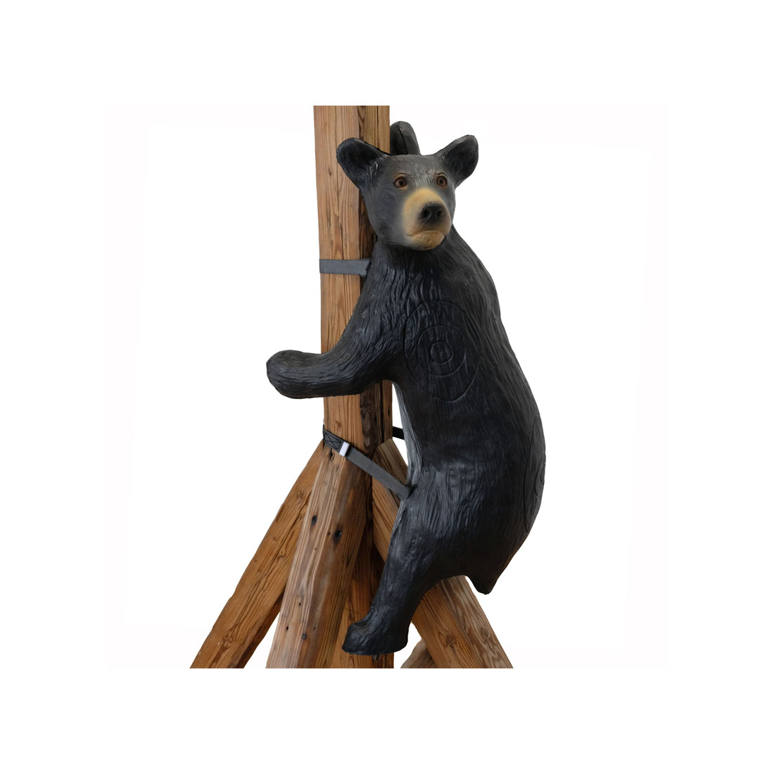 Dier, Beer, Zoogdier, Wilde dieren, Hout