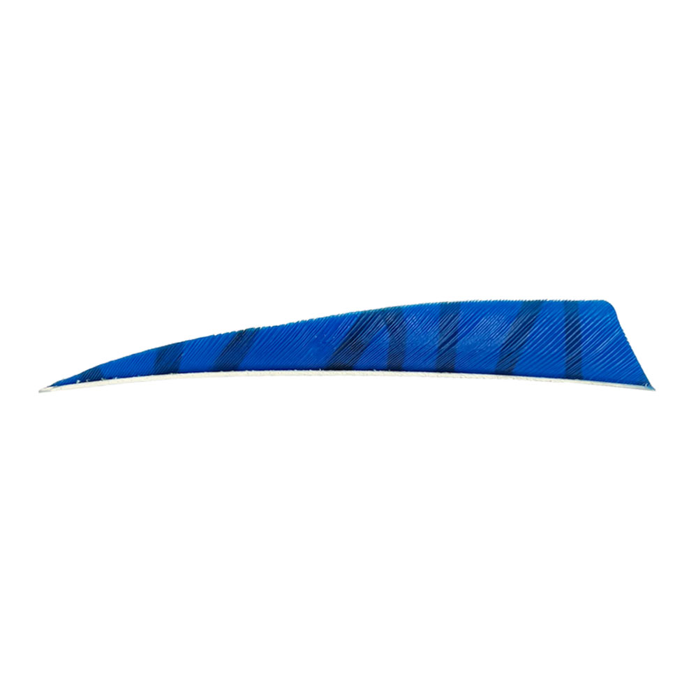 Color: Blue/Black Color: Blue/Black