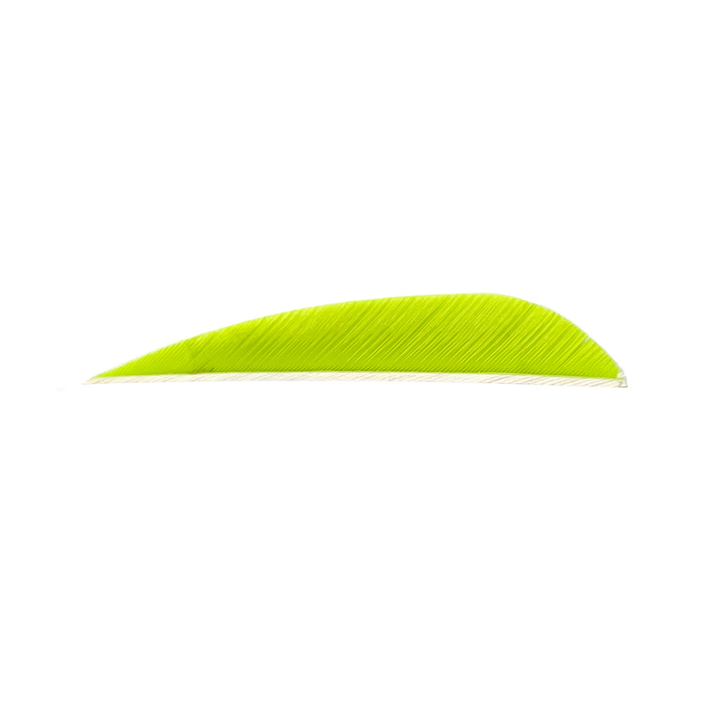 Color: Lemon Lime Color: Lemon Lime